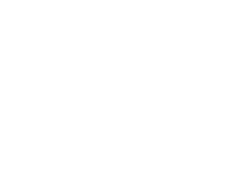 fj logo white